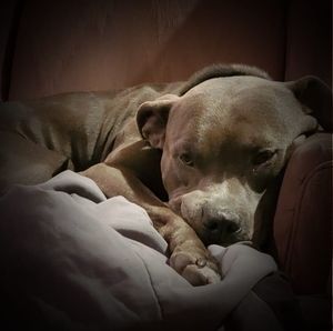 Meet your Posher, Terri